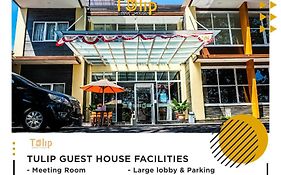 Tulip Guest House